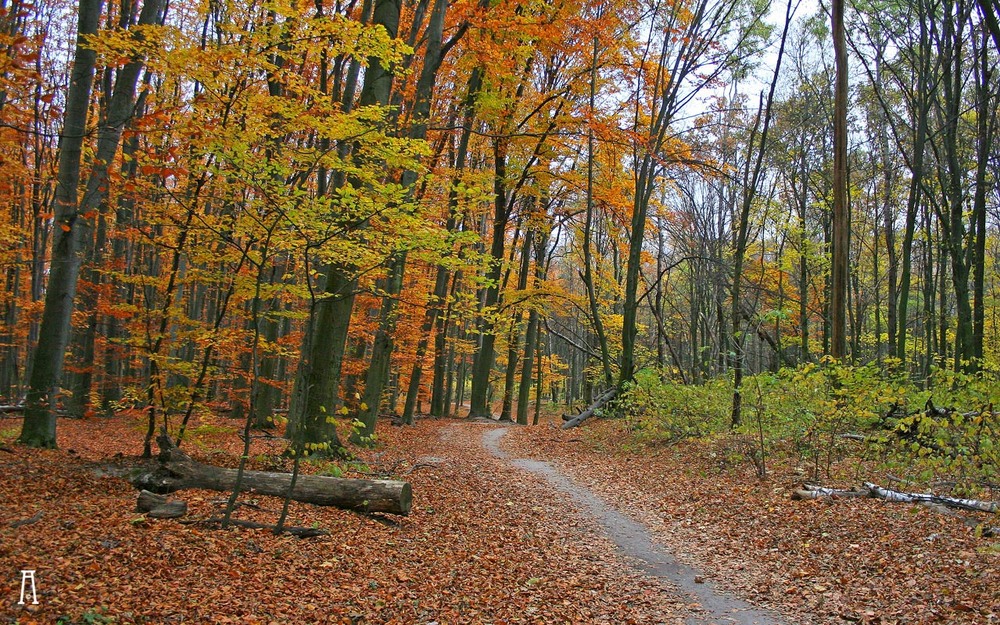 Фотографія На межі / Андрій Решетняк / photographers.ua
