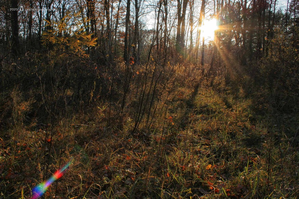 Фотографія Пейзаж / Андрій Решетняк / photographers.ua