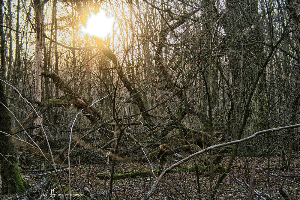 Фотографія Пейзаж / Андрій Решетняк / photographers.ua