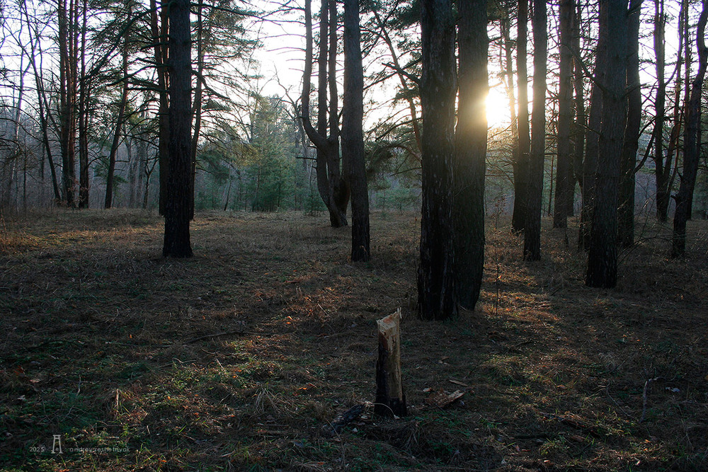 Фотографія Пейзаж / Андрій Решетняк / photographers.ua