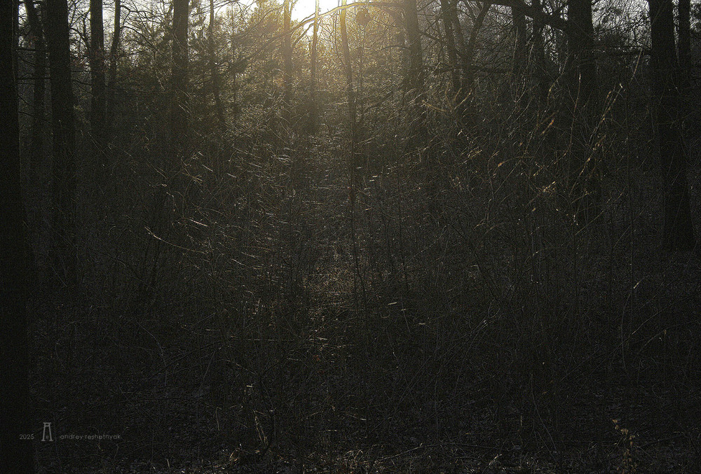 Фотографія Пейзаж / Андрій Решетняк / photographers.ua