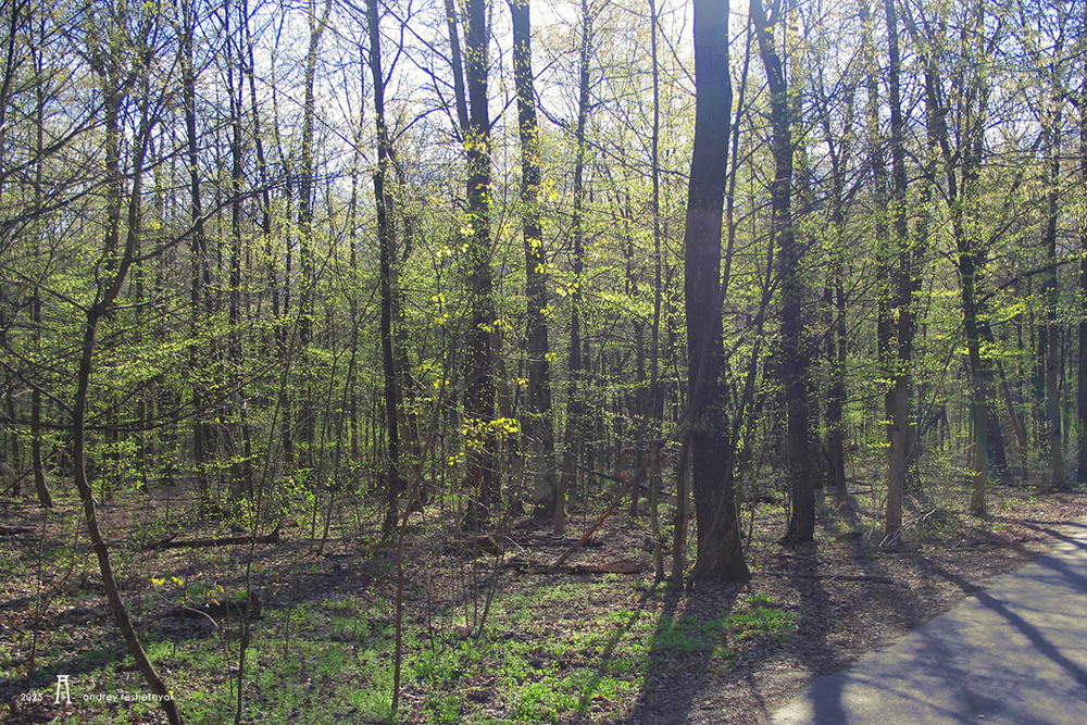 Фотографія Пейзаж / Андрій Решетняк / photographers.ua