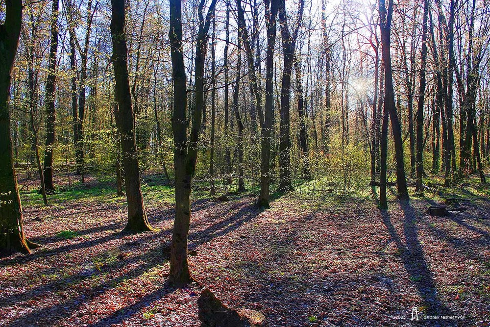 Фотографія Пейзаж / Андрій Решетняк / photographers.ua