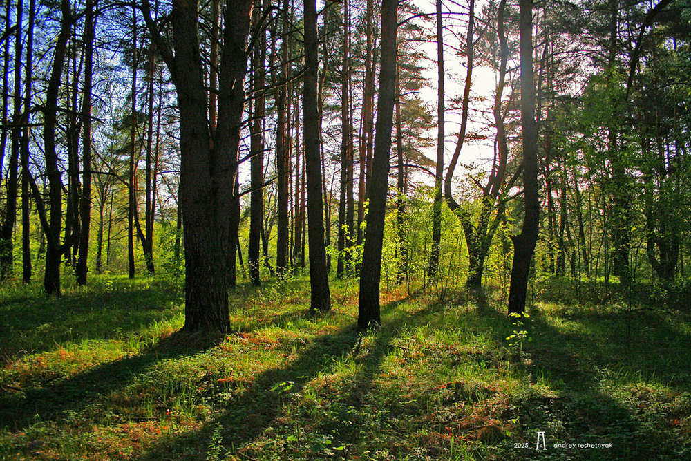 Фотографія Пейзаж / Андрій Решетняк / photographers.ua