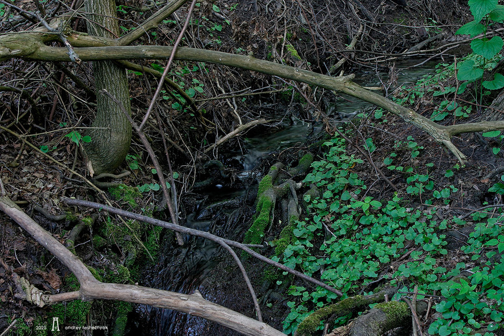 Фотографія Пейзаж / Андрій Решетняк / photographers.ua