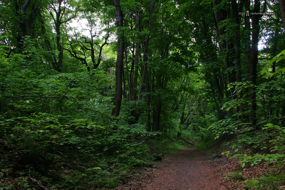 Фотографія Пейзаж / Андрій Решетняк / photographers.ua