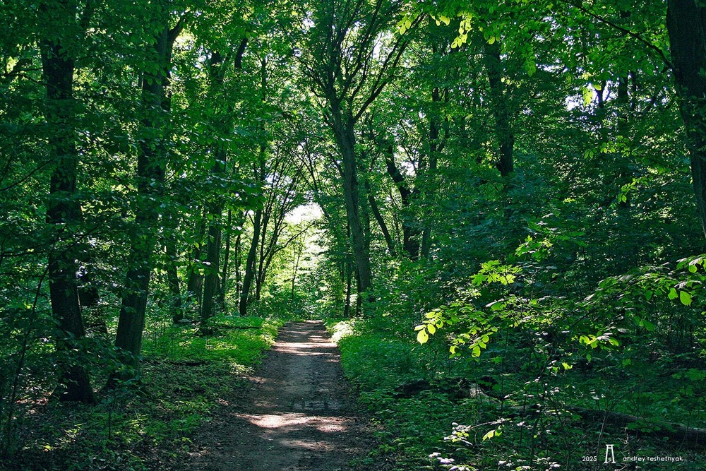 Фотографія Пейзаж / Андрій Решетняк / photographers.ua