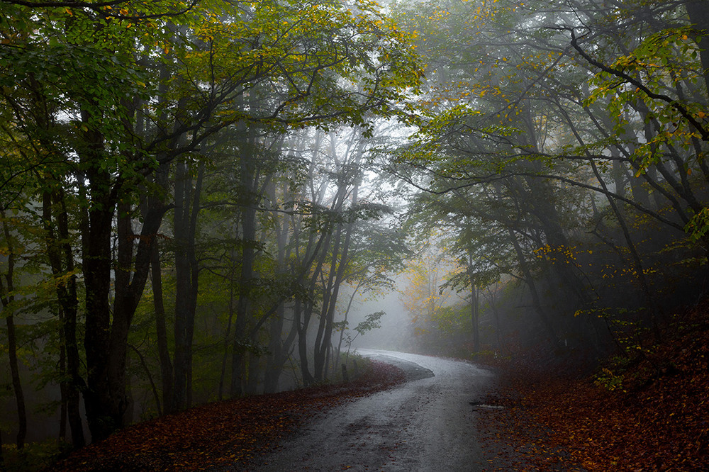Фотографія Пейзаж / Oleg Bosoy / photographers.ua