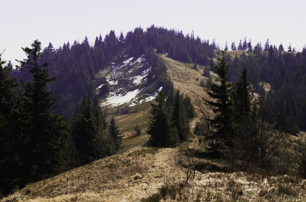 Фотографія Пейзаж / Настя Мала / photographers.ua