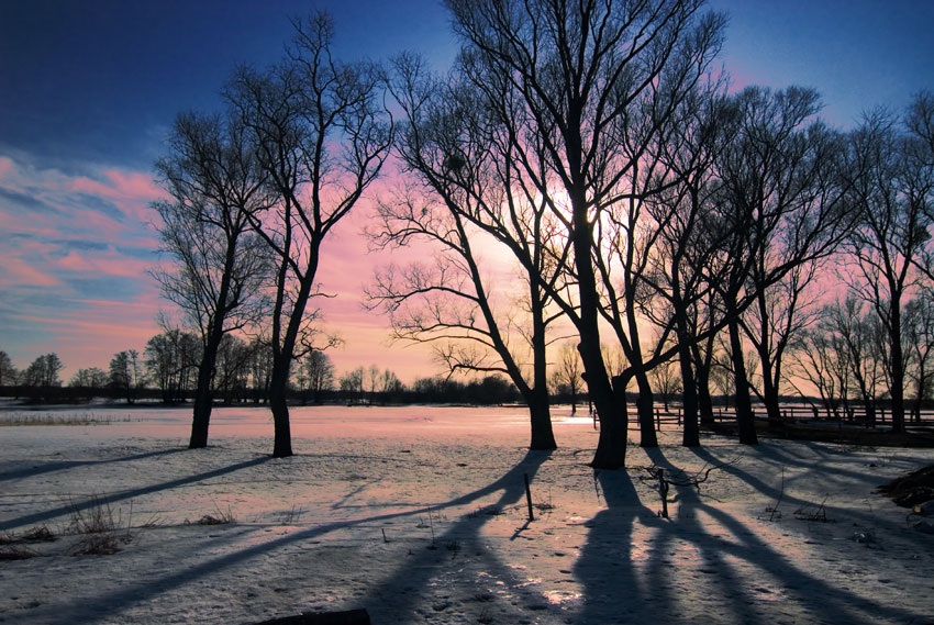 Фотографія утро . зима / Анна Павлова / photographers.ua