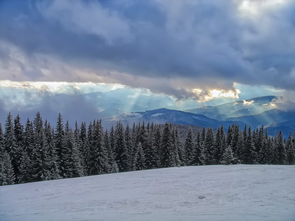 Фотографія Vacation... / Homemade Glory to Ukraine / photographers.ua