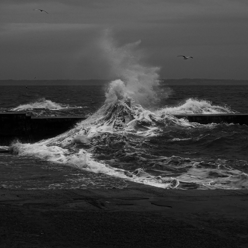 Фотографія Демоны моря... / Самоделкин В.Ш. / photographers.ua