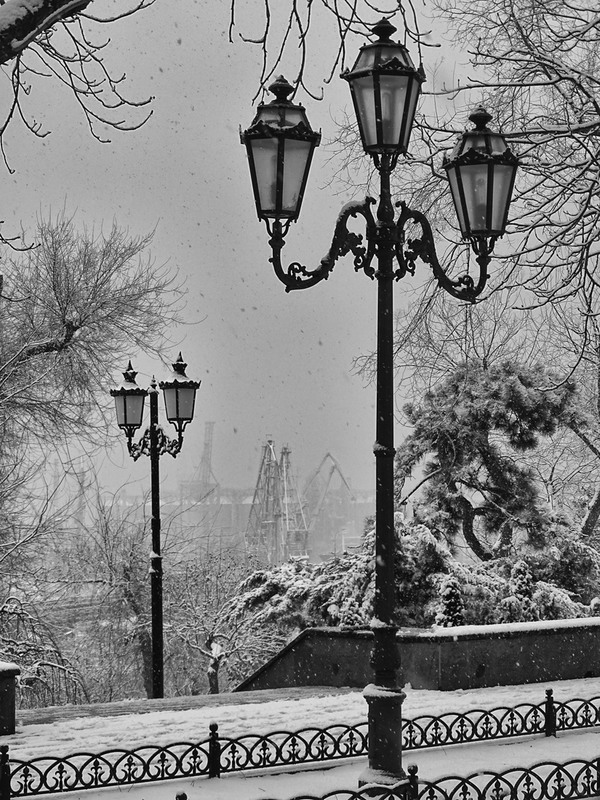 Фотографія Просто выпал снег... / Самоделкин В.Ш. / photographers.ua