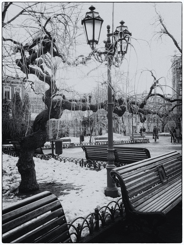 Фотографія В летнем парке зима... / Самоделкин В.Ш. / photographers.ua