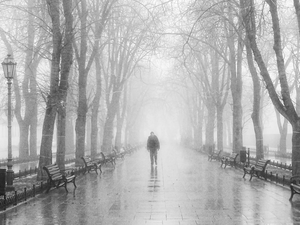 Фотографія Шёл седой старик туман... / Самоделкин В.Ш. / photographers.ua