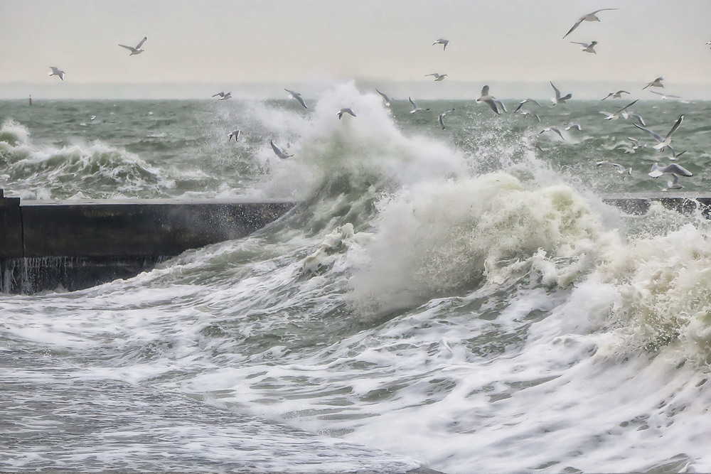 Фотографія Кипит разгневанное море... / Самоделкин В.Ш. / photographers.ua