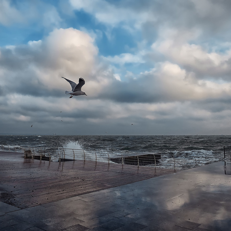 Фотографія Души успокоенной море... / Самоделкин В.Ш. / photographers.ua