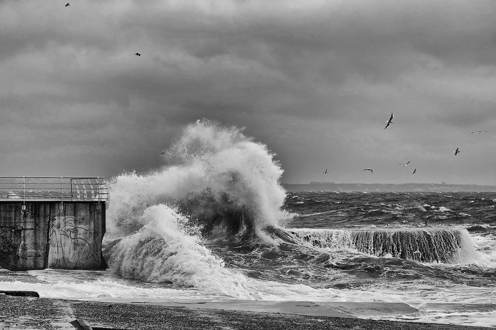 Фотографія Демоны моря...2.0 / Самоделкин В.Ш. / photographers.ua