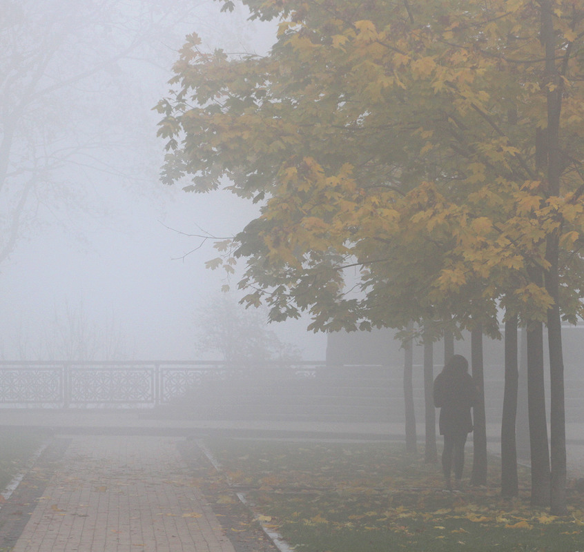 Фотографія фотопауза в тумані / V  R / photographers.ua