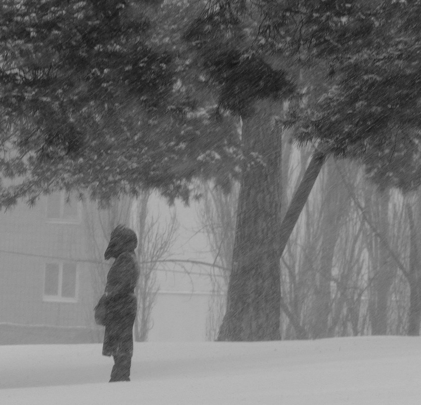 Фотографія снегопад, снегопад, не мети мне на косы / V  R / photographers.ua