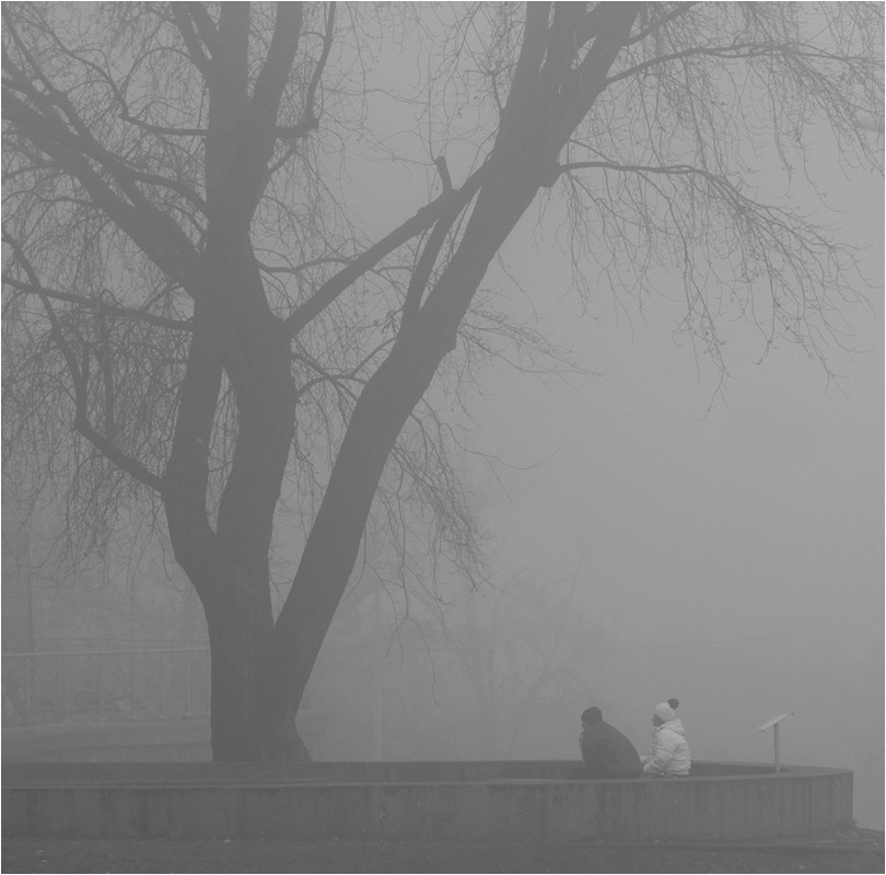 Фотографія диаложик в тумане / V  R / photographers.ua