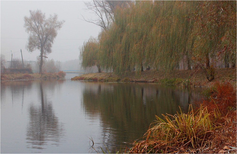 Фотографія пейзаж городской ноябрьский / V  R / photographers.ua