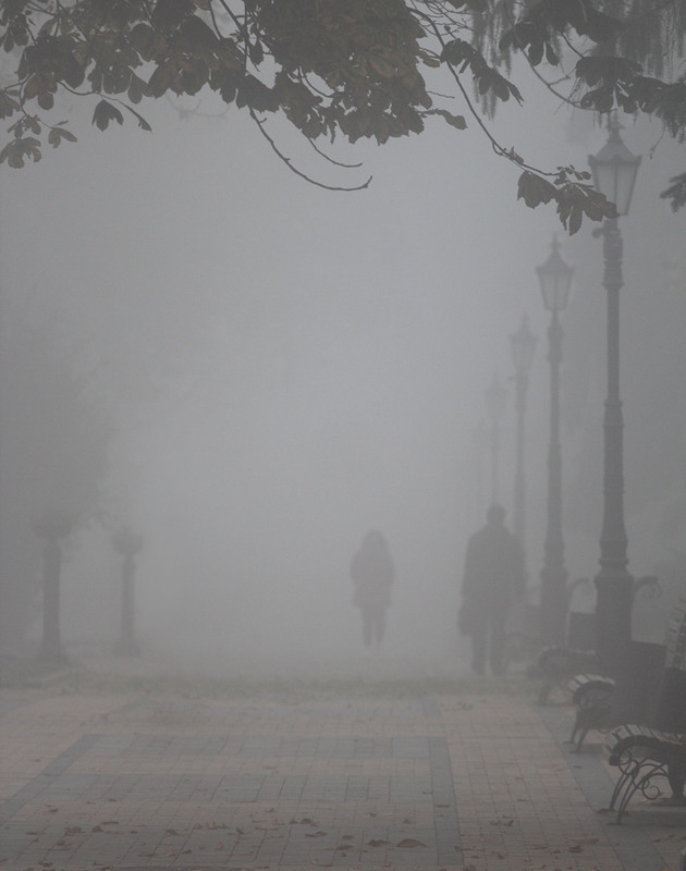 Фотографія бредущие в тумане / V  R / photographers.ua