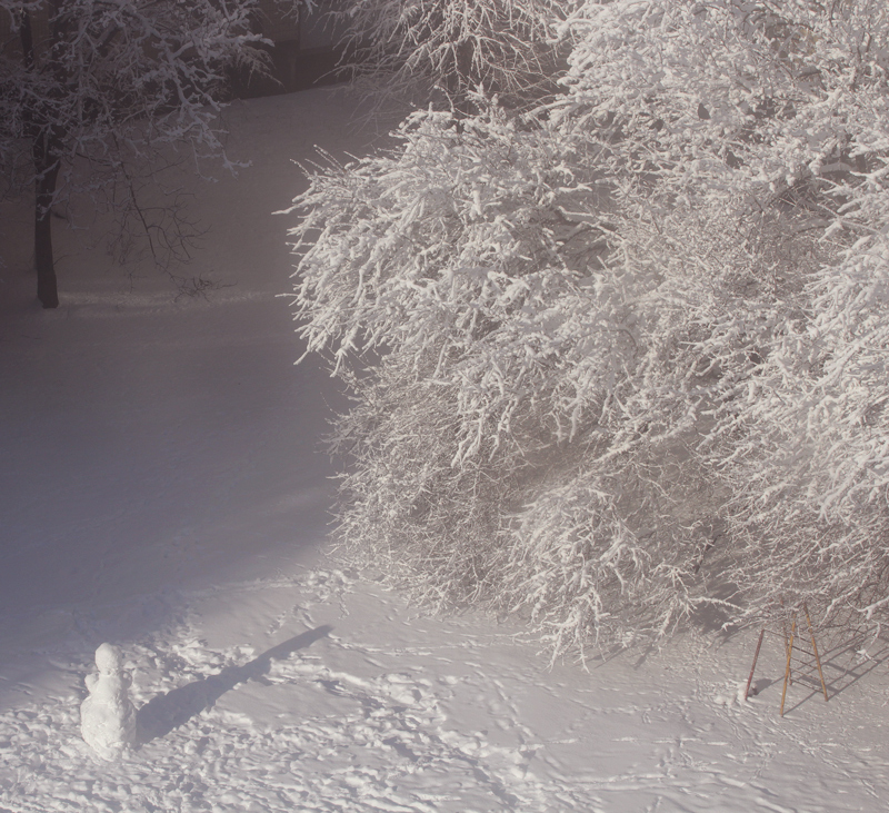 Фотографія снеговик и его тень / V  R / photographers.ua