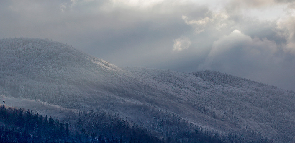 Фотографія махрові гори / V  R / photographers.ua