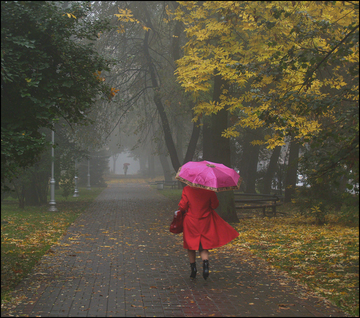 Фотографія umbrellas / V  R / photographers.ua