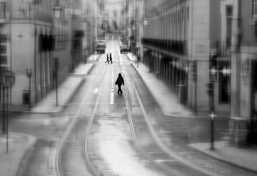 Фотографія Sometimes lonely... . / Paulo Flop / photographers.ua