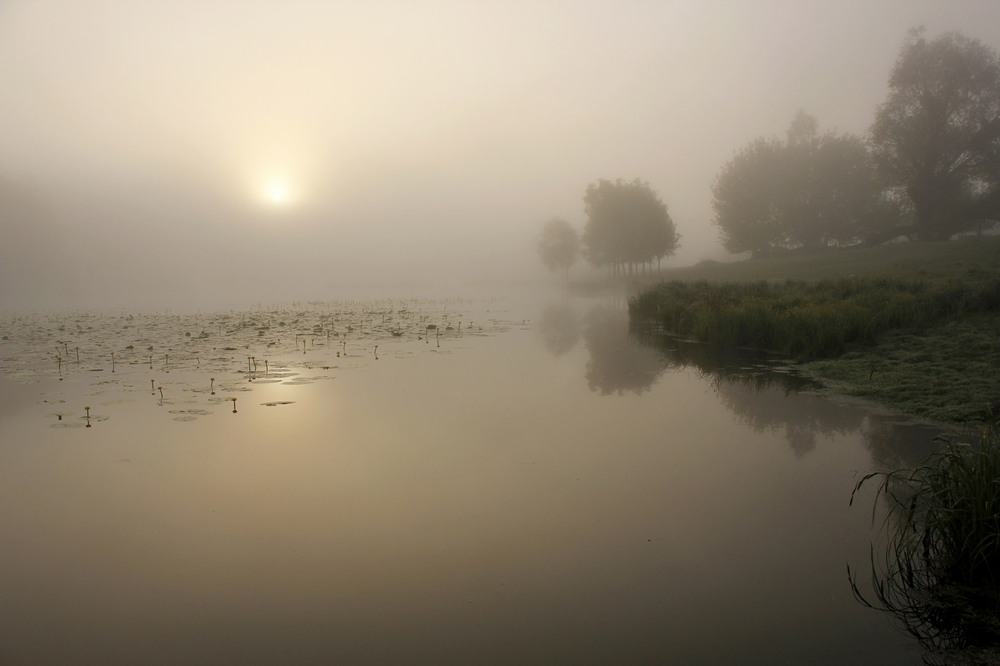 Фотографія В травневому тумані... / Сергей Карнаух / photographers.ua