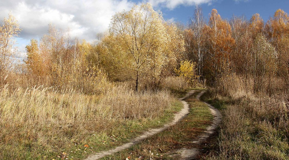 Фотографія Дорога в осінь... / Сергей Карнаух / photographers.ua