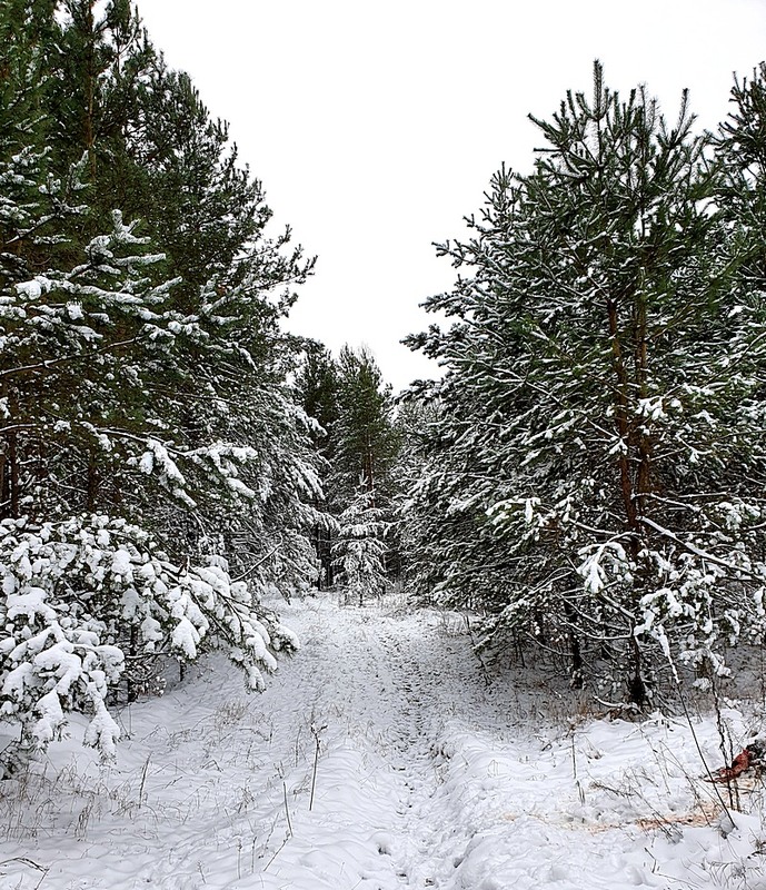 Фотографія Разное / Віталій Шафранський / photographers.ua
