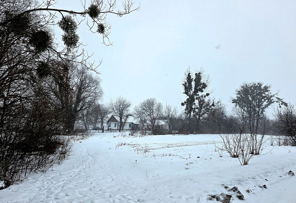 Фотографія Разное / Віталій Шафранський / photographers.ua