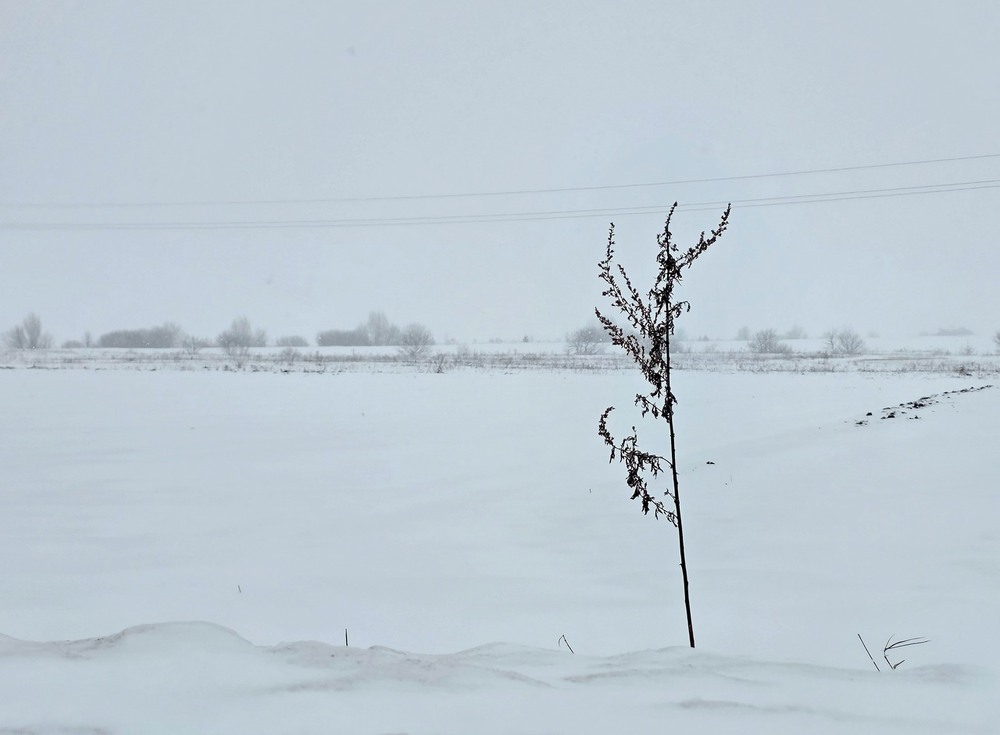 Фотографія Разное / Віталій Шафранський / photographers.ua
