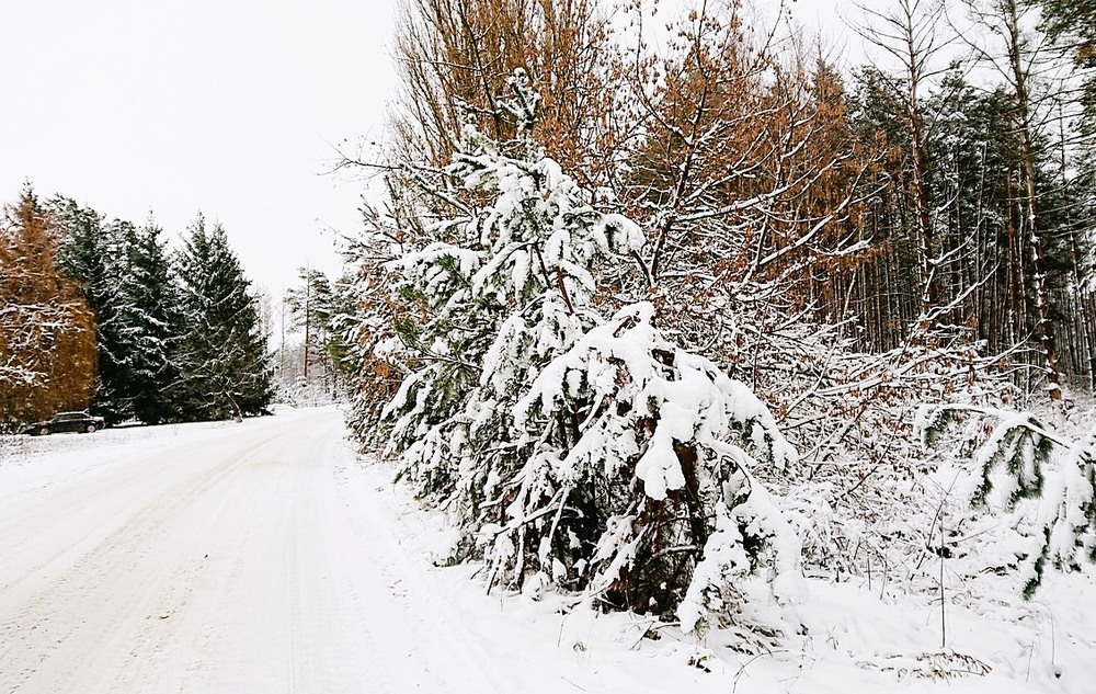 Фотографія Разное / Віталій Шафранський / photographers.ua