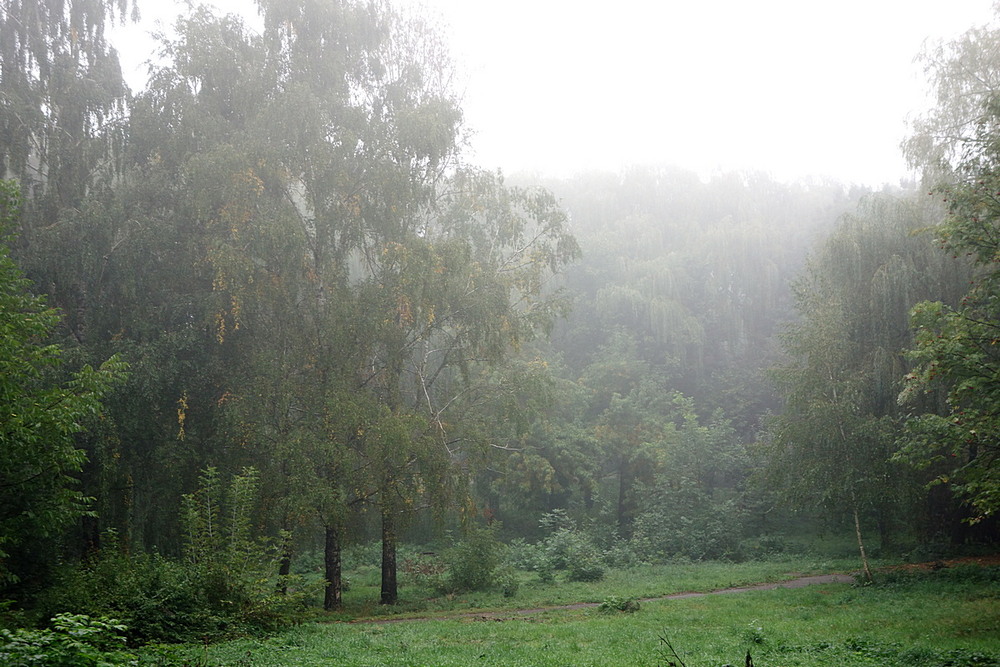 Фотографія Путешествие / Віталій Шафранський / photographers.ua