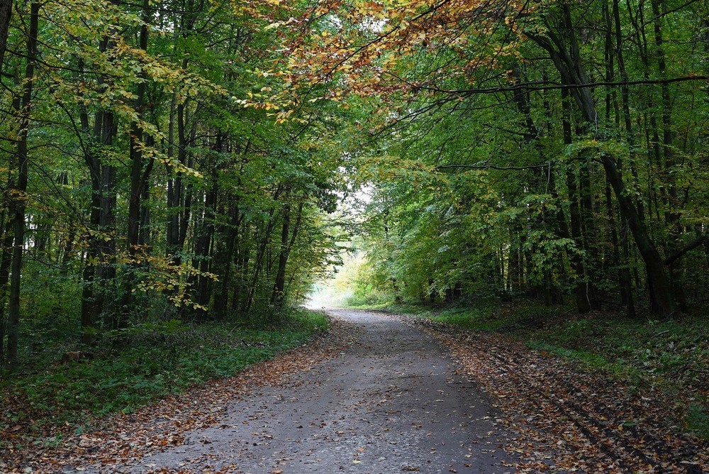 Фотографія Путешествие / Віталій Шафранський / photographers.ua