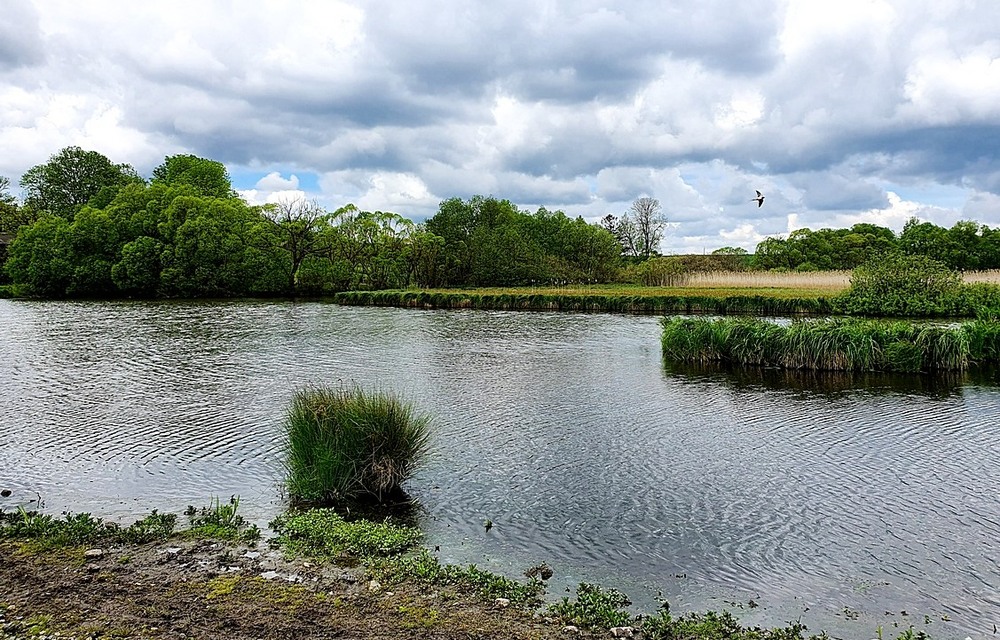 Фотографія Пейзаж / Віталій Шафранський / photographers.ua