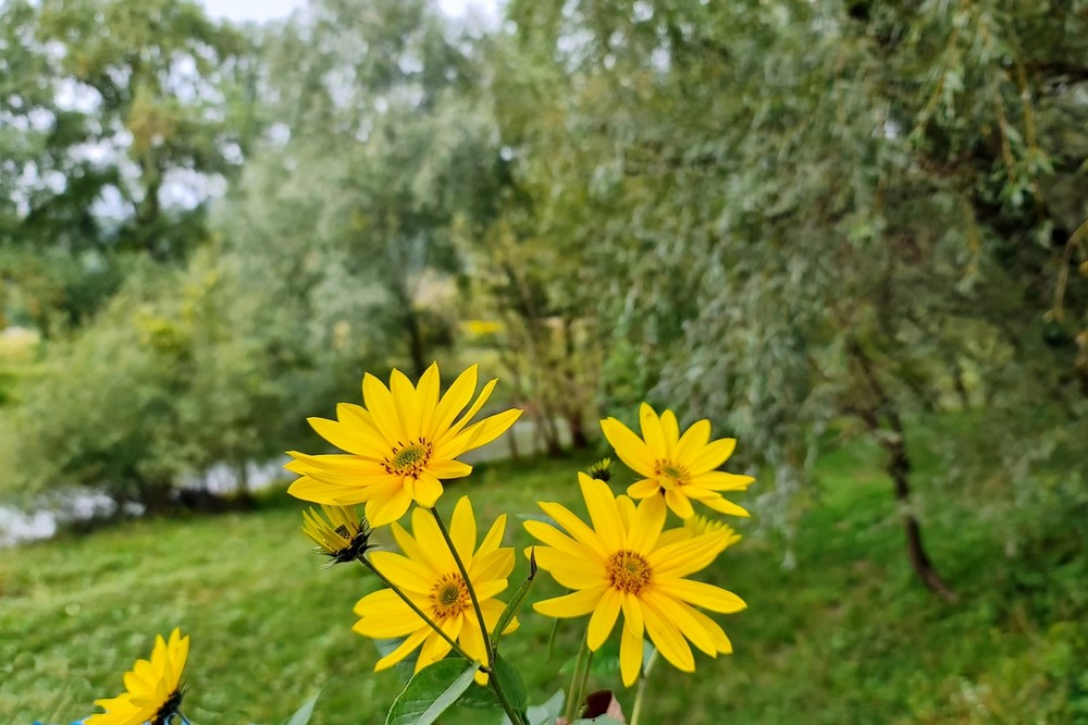 Фотографія Разное / Віталій Шафранський / photographers.ua