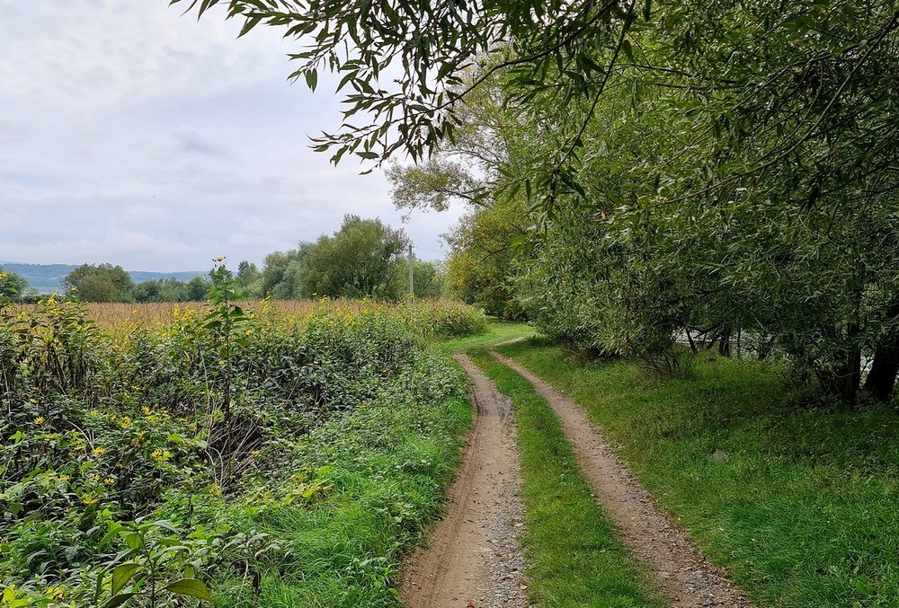 Фотографія Разное / Віталій Шафранський / photographers.ua
