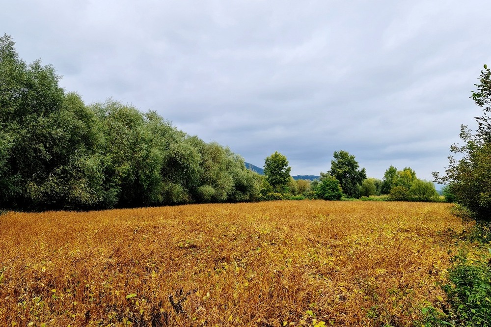 Фотографія Пейзаж / Віталій Шафранський / photographers.ua