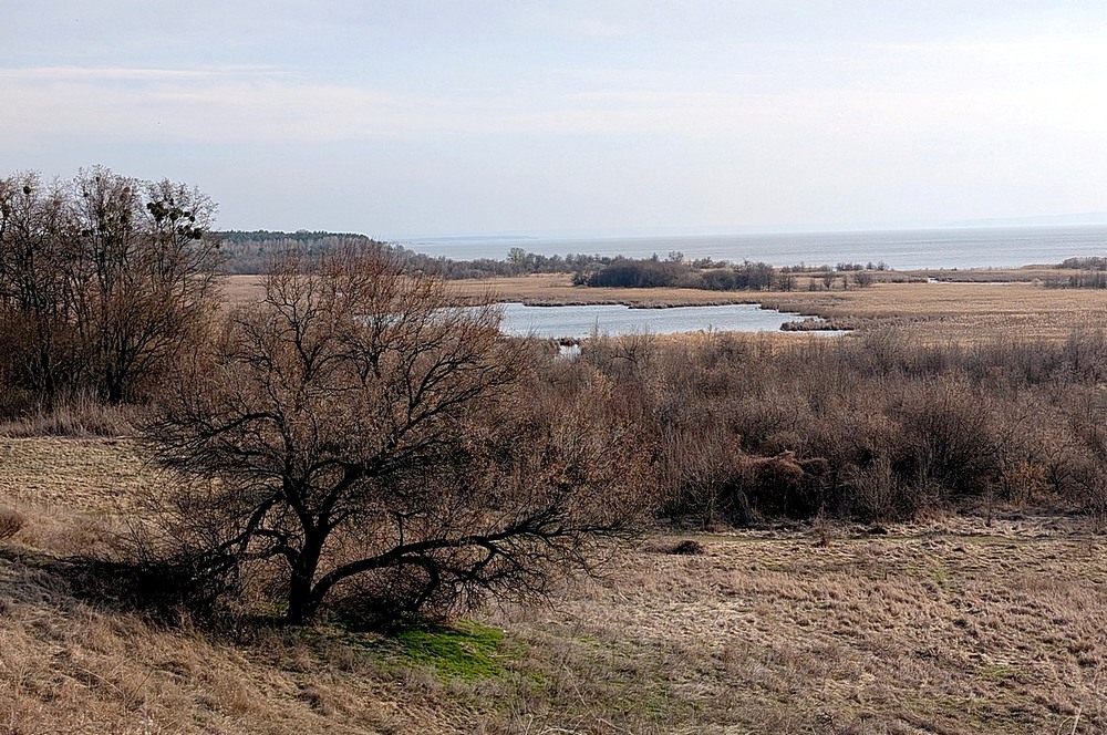 Фотографія Пейзаж / Віталій Шафранський / photographers.ua