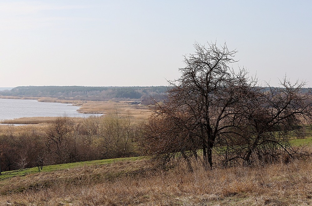 Фотографія Пейзаж / Віталій Шафранський / photographers.ua