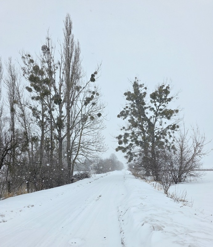 Фотографія Разное / Віталій Шафранський / photographers.ua