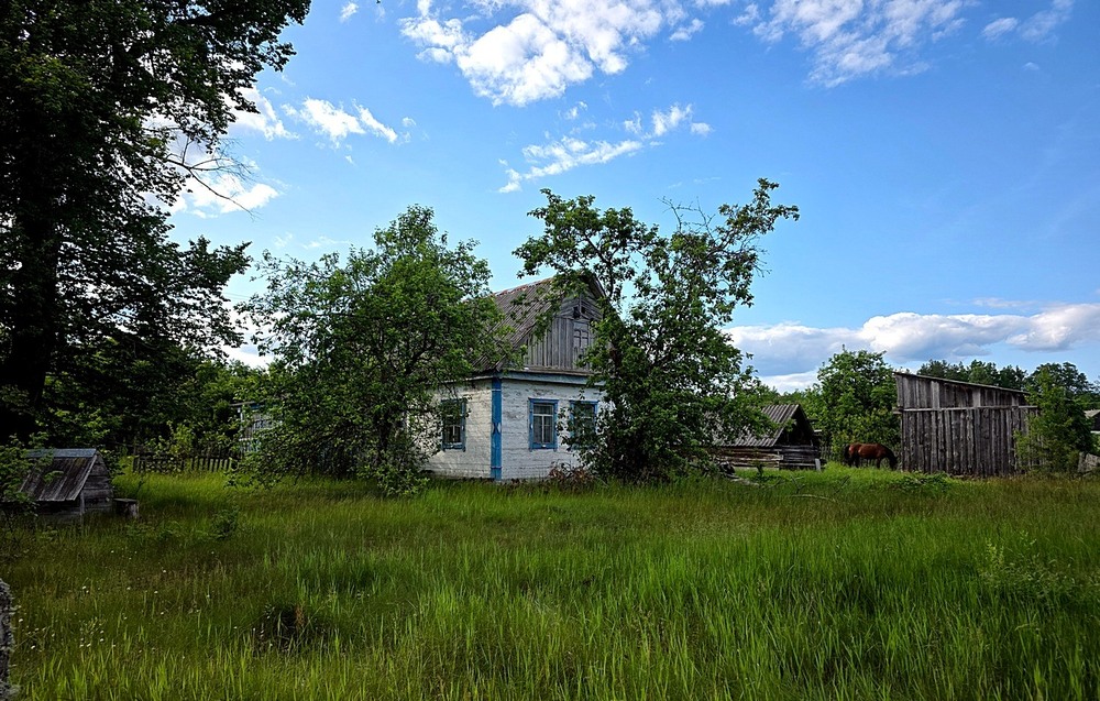 Фотографія Покинута хата / Віталій Шафранський / photographers.ua