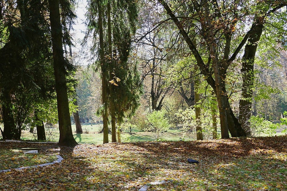 Фотографія Разное / Віталій Шафранський / photographers.ua