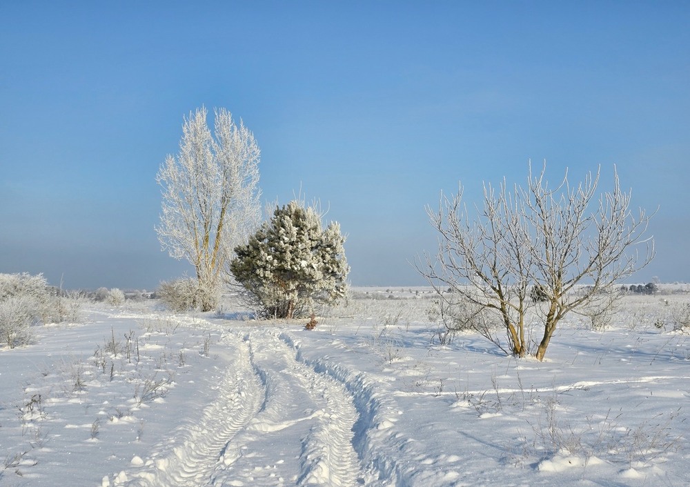 Фотографія Пейзаж / Віталій Шафранський / photographers.ua
