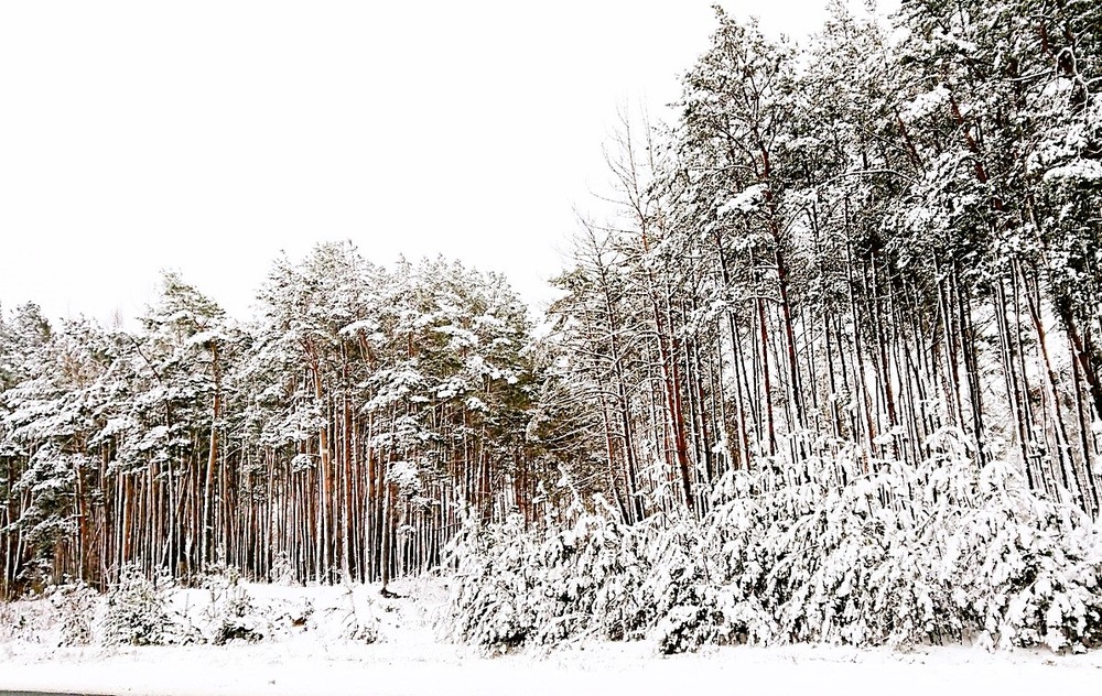 Фотографія Разное / Віталій Шафранський / photographers.ua